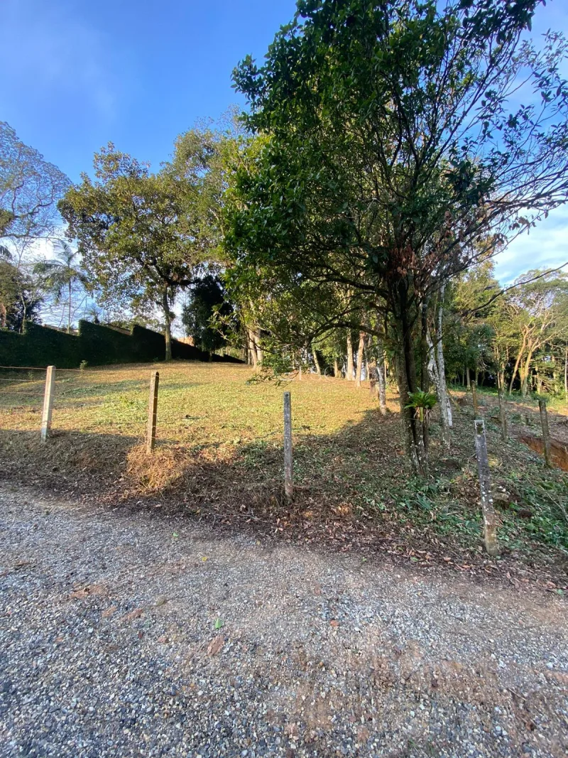 Terreno à Venda no Bairro América